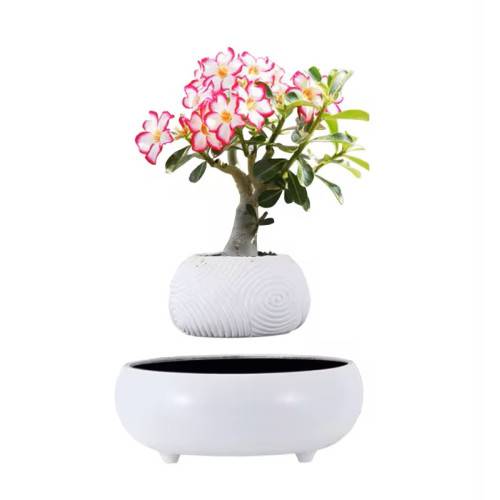 Mini-jardin en lévitation WHITE DREAM BABYLONIA MAGNETICLAND - Imagen 7