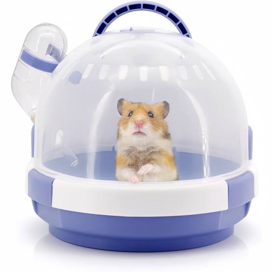 Cage De Transport Pour Hamster Et Souris DtopbuyAge - Image 1