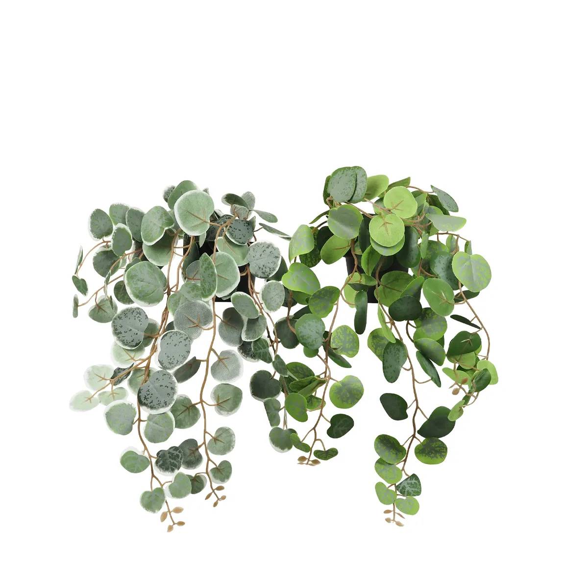 Ligne Deco - Eucalyptus artificiel retombant 40cm lot de 2 - Image 1