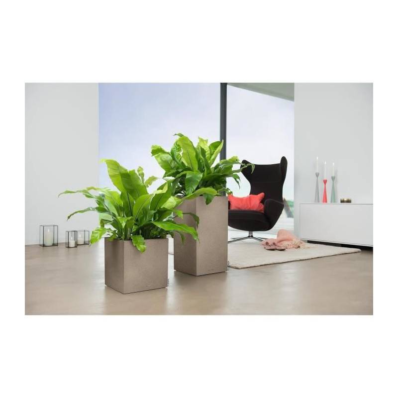 Lechuza - Lechuza Jardiniere Canto Color Square 40 All-in-one Beige 13721 - Imagen 5