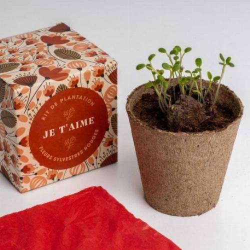 Kit de plantation Dites-le avec des Fleurs - Bleu - Imagen 4