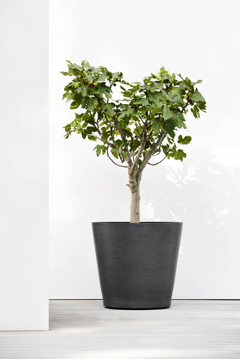 Ecopots - Grand pot sur roues Amsterdam 80 Gris Foncé - Ø 80 x H. 75 cm - 300 L ECOPOTS - Imagen 3