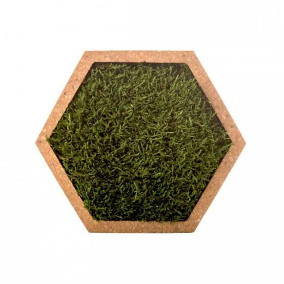 Naturalys - Tableau végétal mural stabilisé 16cm M - Naturalys - Image 1
