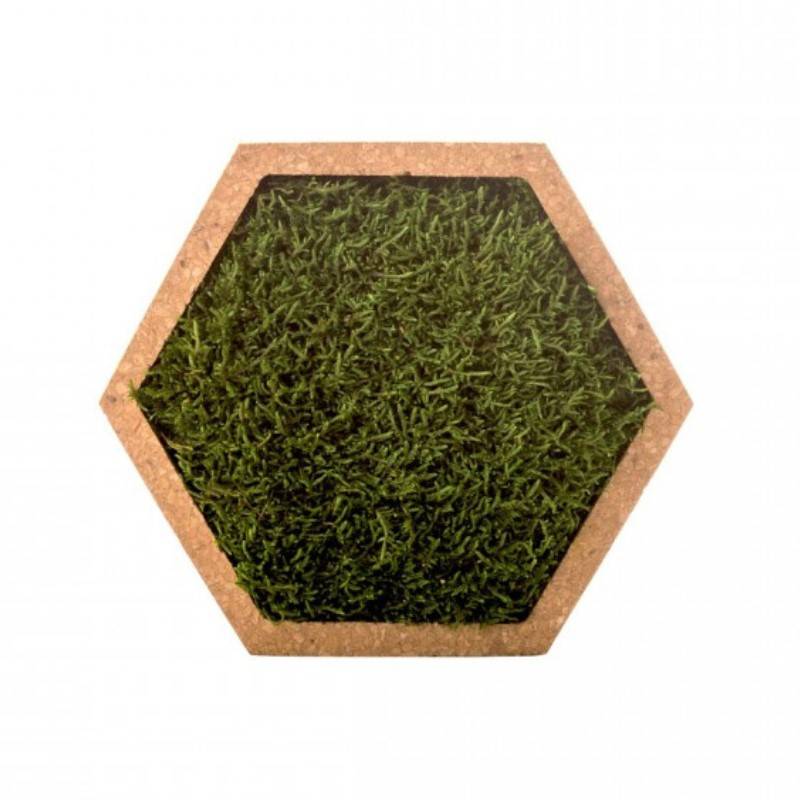 Naturalys - Tableau végétal mural stabilisé 16cm M - Naturalys - Image 1