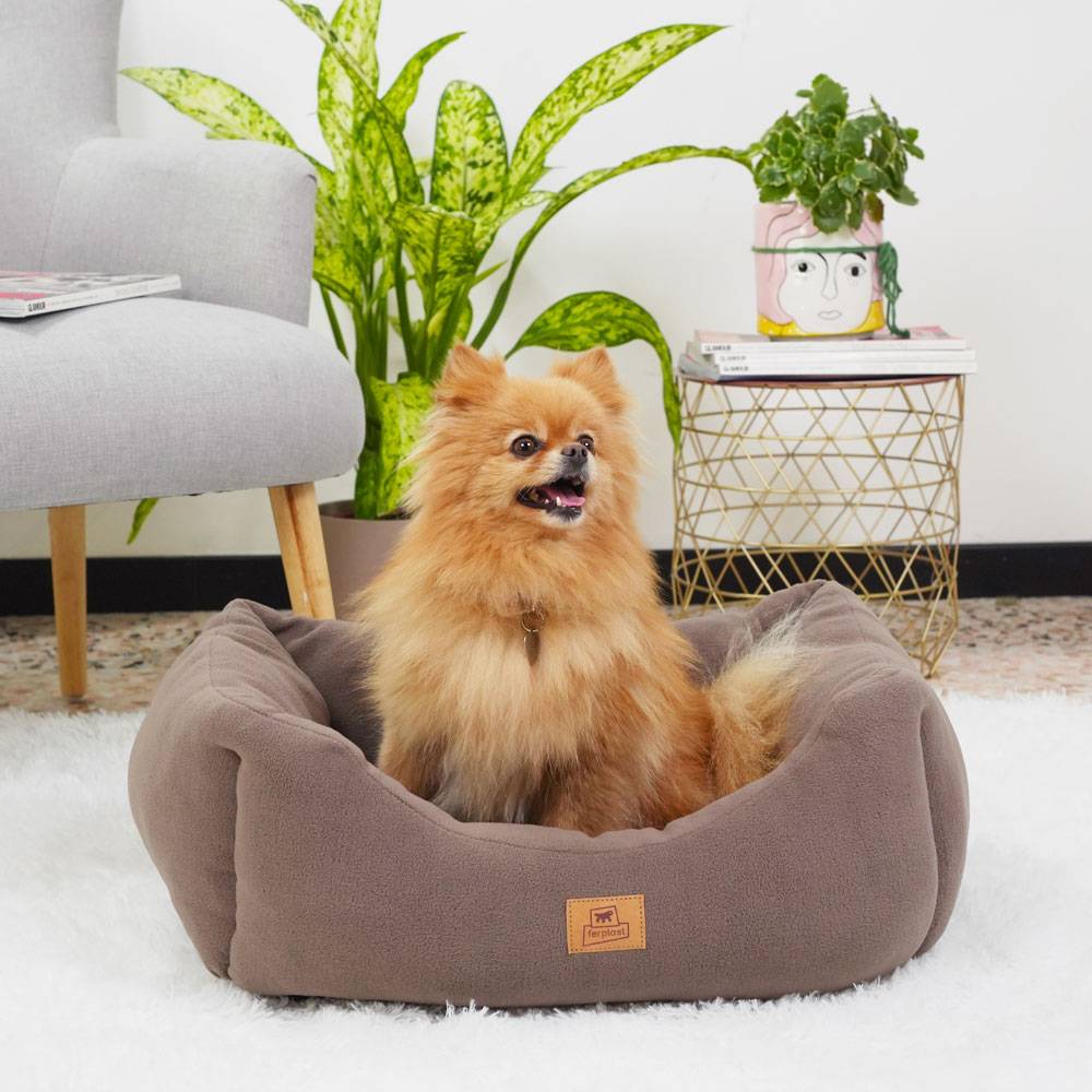 Ferplast - Canapé Lit pour Chiens et Chats COCCOLO MICROFLEECE 50 Doux Micropolaire Lavable Taupe - Imagen 3