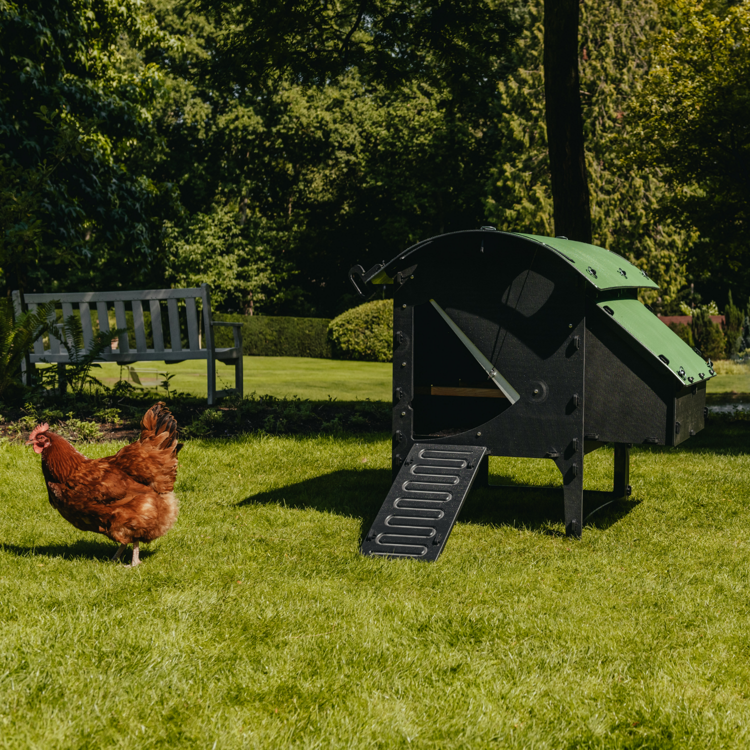Poulailler sur pieds Nestera The Lodge – 3 poules – plastique recyclé anti poux rouges – garanti 25 ans - Image 6