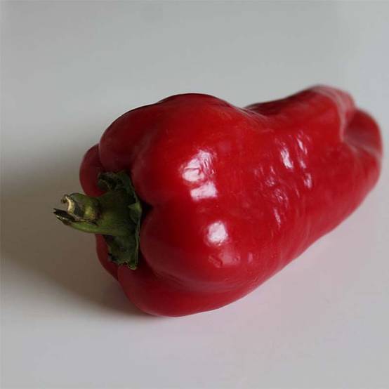 Poivron Lamuyo F1 rouge - Capsicum annuum le sachet de 35 graines environ (0,3g)