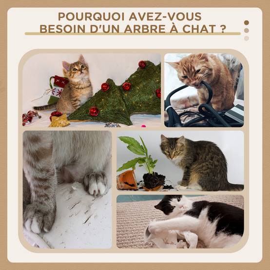 Arbre à chat XXL panneaux particules pour grands espaces jeux 60x60x200cm gris - ComfortXL Outdoor Living - Image 8