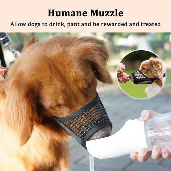 IntiMeg - Muselière pour chien - IntiMeg - Image 4
