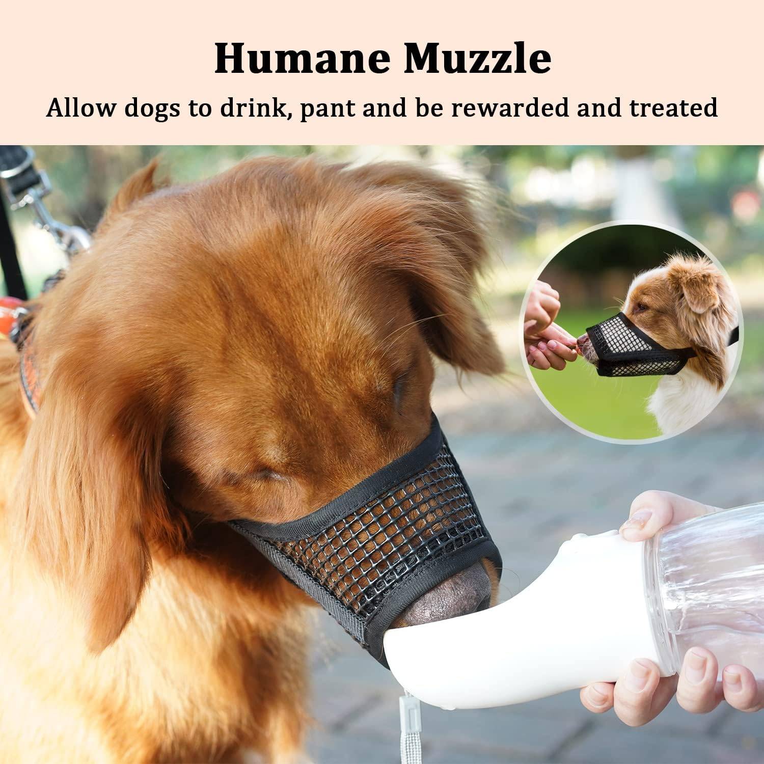 IntiMeg - Muselière pour chien - IntiMeg - Image 4