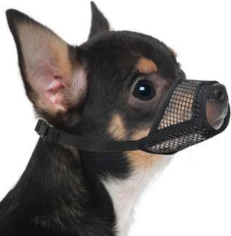 Muselière pour chien - IntiMeg