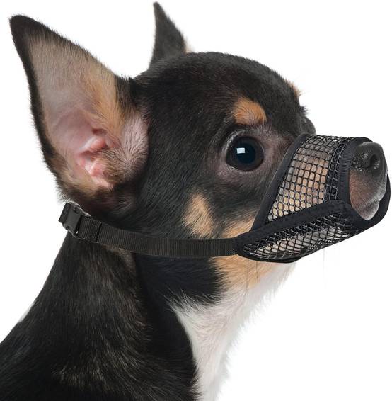 IntiMeg - Muselière pour chien - IntiMeg - Image 1