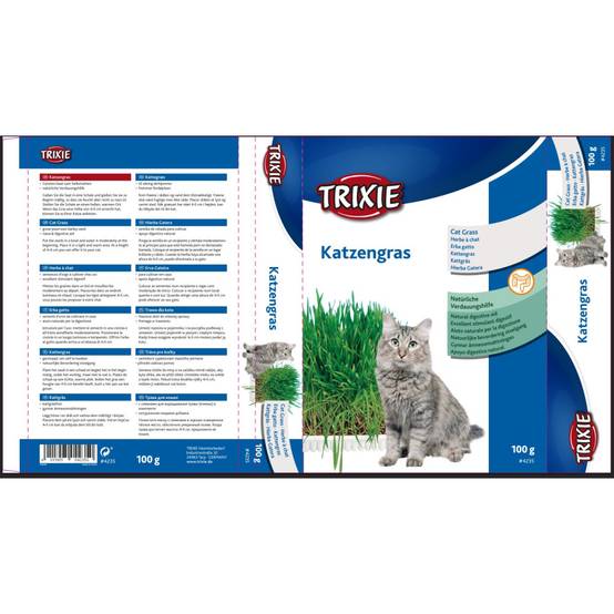 Herbe à chat, barquette de 100g - Image 4