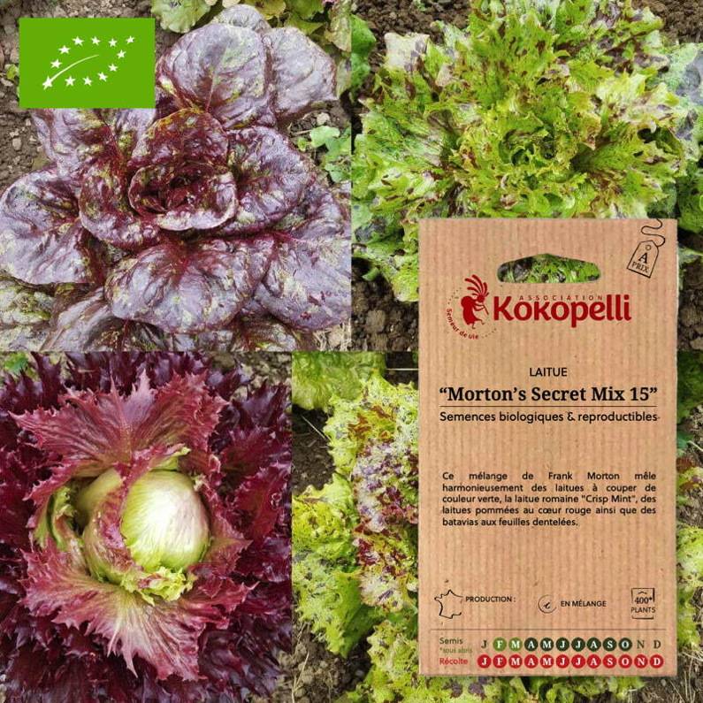 Association Kokopelli - Laitue Morton's Secret Mix 15- Graines bio à semer - Image 1