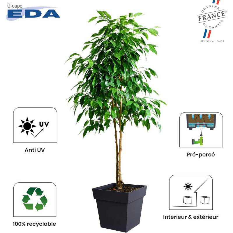 EDA Plastiques - Eda Pot De Fleur Carré Toscane 39 Cm - 38 L - 39 X 39 X H 39 Cm - Vert Laurier - Imagen 5