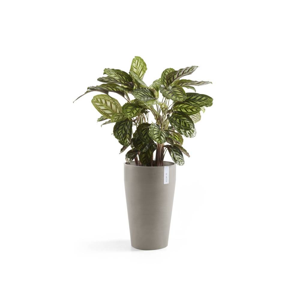 Ecopots - Pot Haut Sankara 55 Taupe - Ø 35 x H. 55 cm - 36 L ECOPOTS - Imagen 3