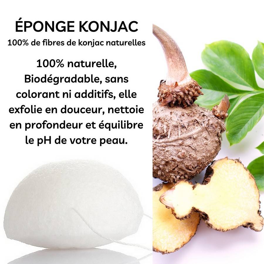 Sun&Sia - Éponge Konjac 100% Naturelle – Nettoie en Profondeur et en Douceur - Soin et Routine Beauté Naturel - Tous Types de Peau - Image 2