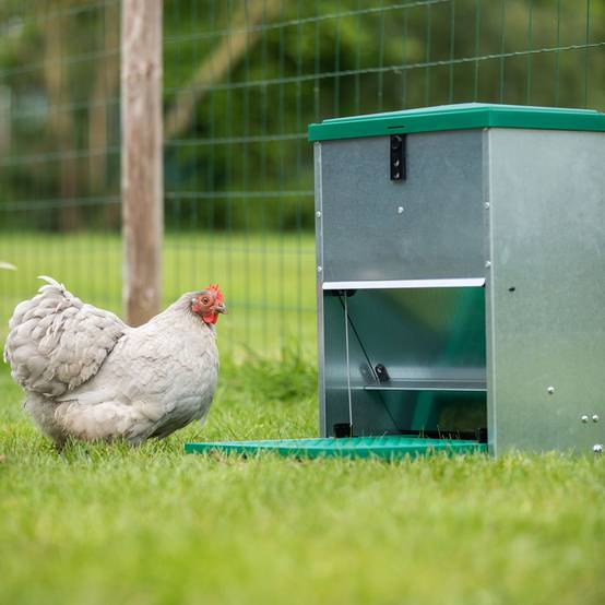 Olba - Mangeoire renforcée 12 kg, anti-rats pour 6 poules - Image 2