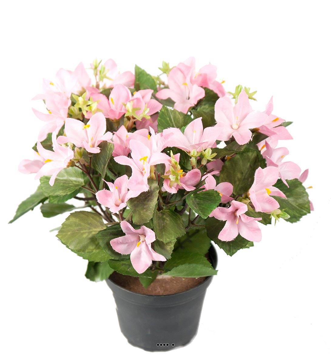 Artificielles - Campanules artificielles en pot, H 25 cm Rose pâle - couleur: Rose pâle - Imagen 1