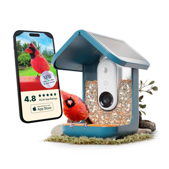 Birdbuddy Mangeoire à Oiseaux Intelligente Solaire avec caméra - Image 1