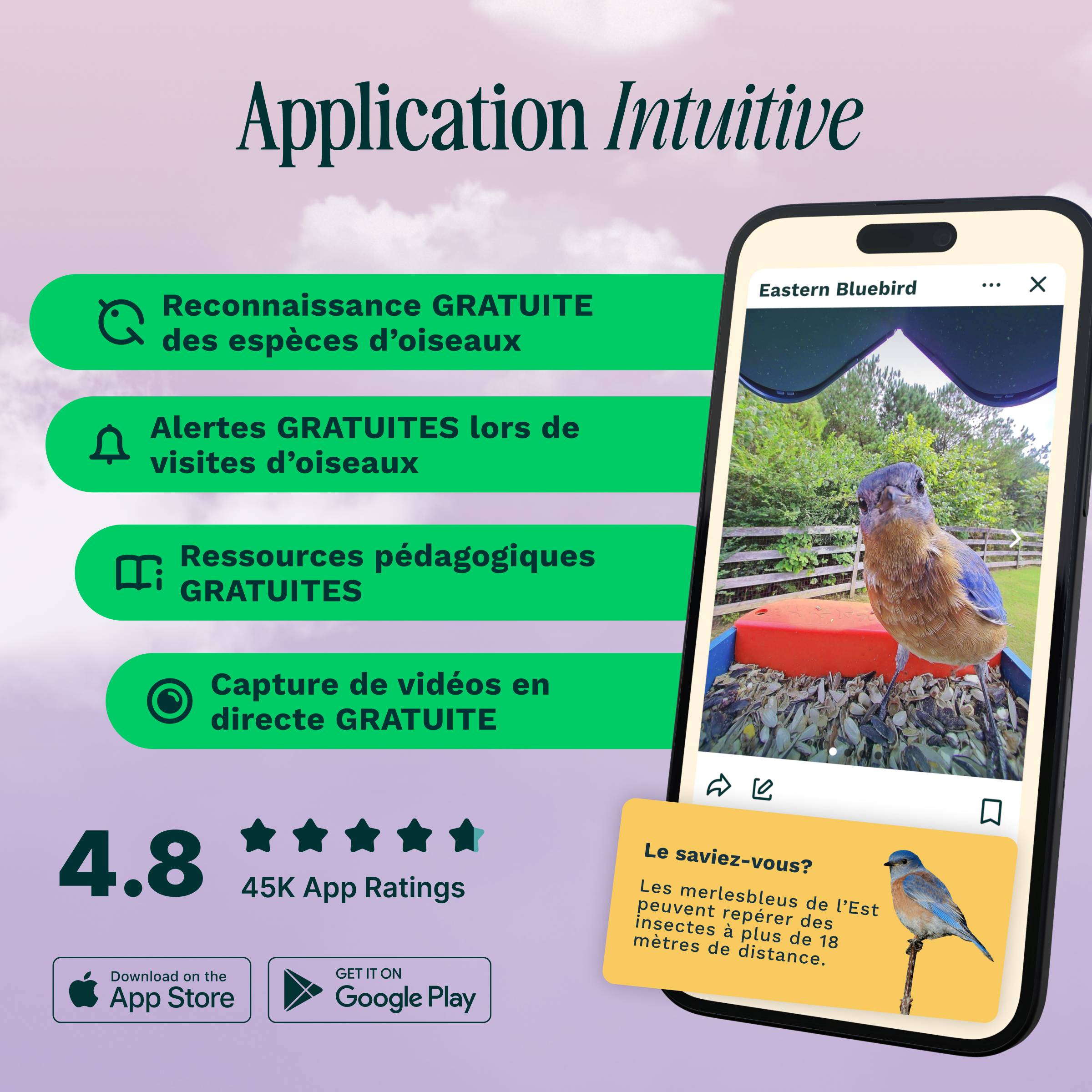 Birdbuddy Mangeoire à Oiseaux Intelligente Solaire avec caméra - Image 3