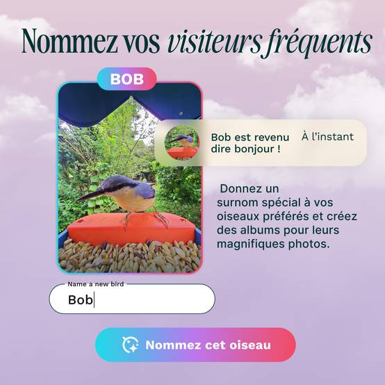 Birdbuddy Mangeoire à Oiseaux Intelligente Solaire avec caméra - Image 4