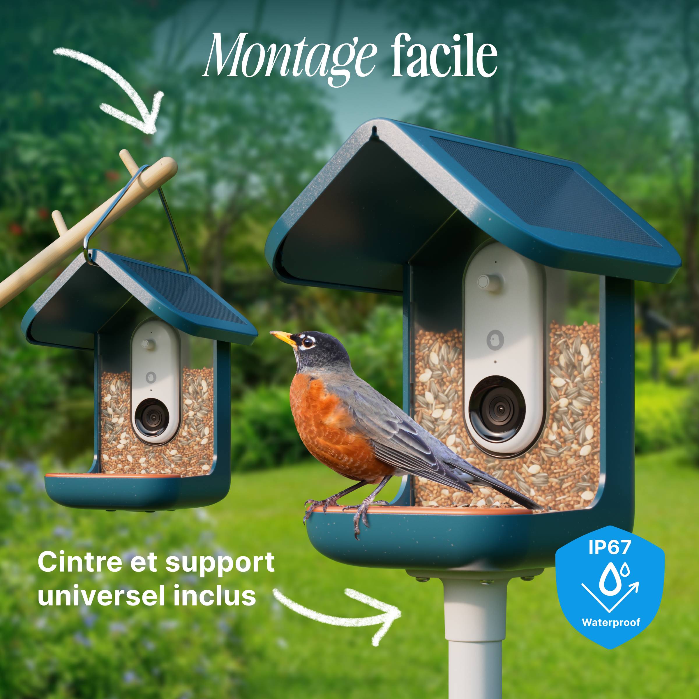 Birdbuddy Mangeoire à Oiseaux Intelligente Solaire avec caméra - Image 6