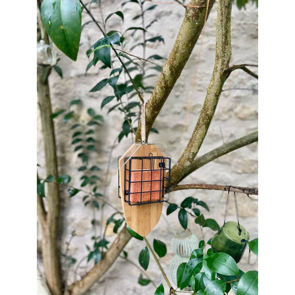 Zolux - Support pour 2 pains de graisse Bamboo pour oiseaux - Imagen 5