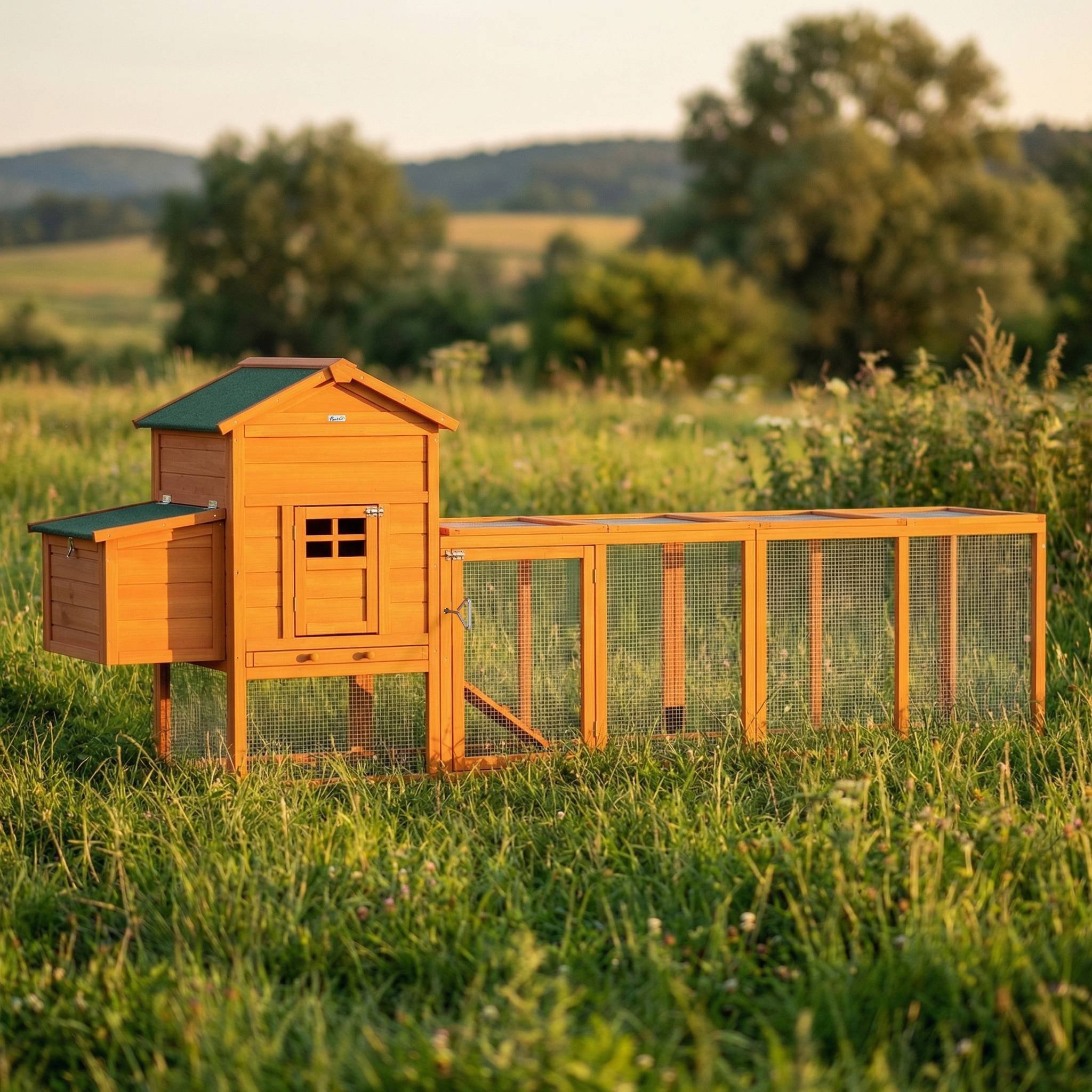 Grand poulailler bois extérieur 3 à 6 poules toit bitumé 297x68x118cm - ComfortXL Outdoor Living - Image 10