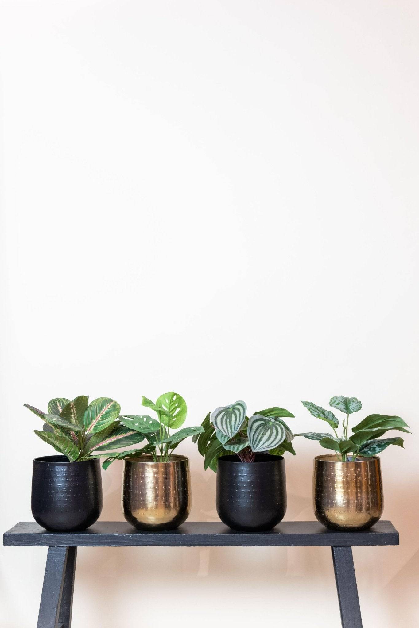 La Green Touch - Scindapsus plante artificielle- h30cm, Ø15cm- La Green Touch - Imagen 5