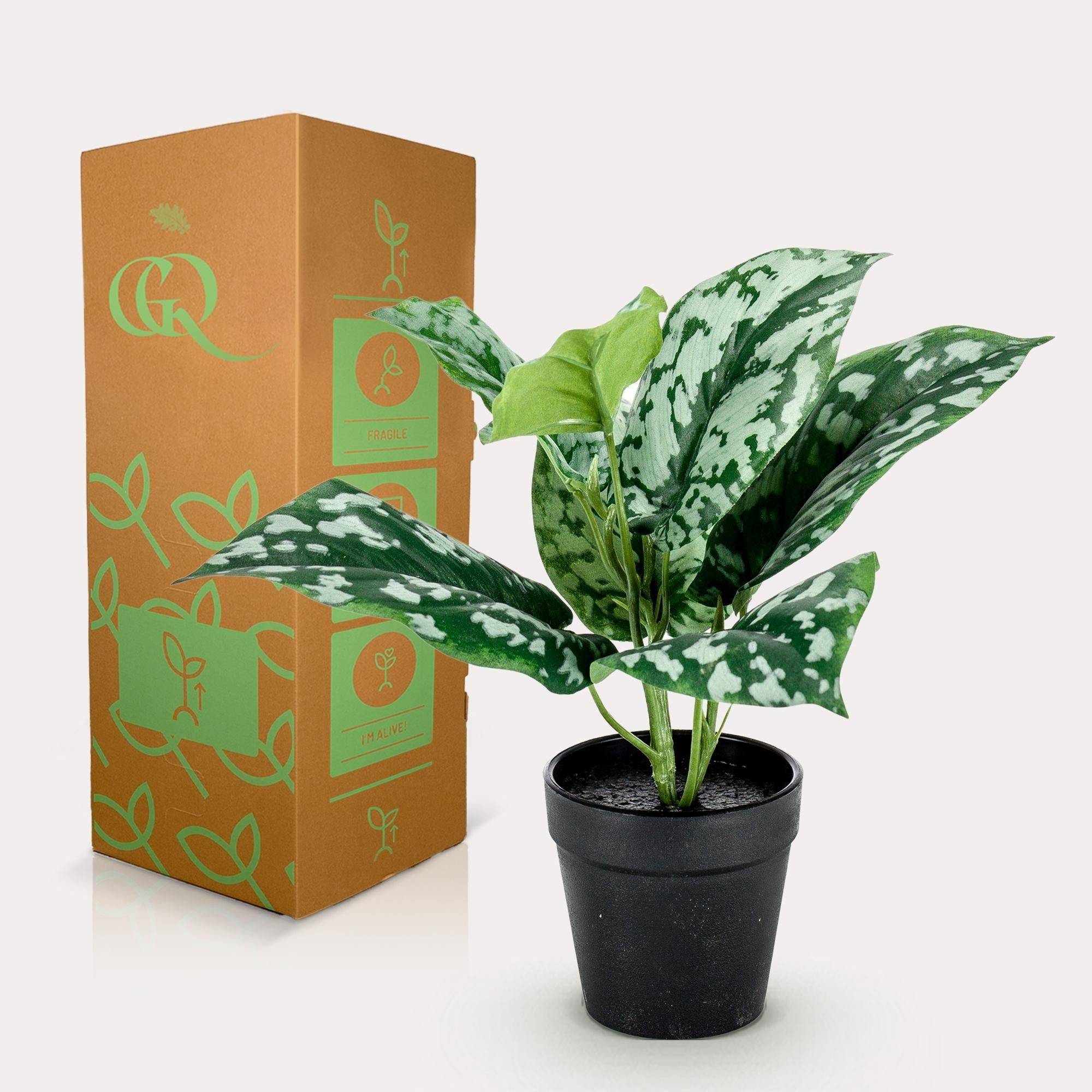 La Green Touch - Scindapsus plante artificielle- h30cm, Ø15cm- La Green Touch - Imagen 3