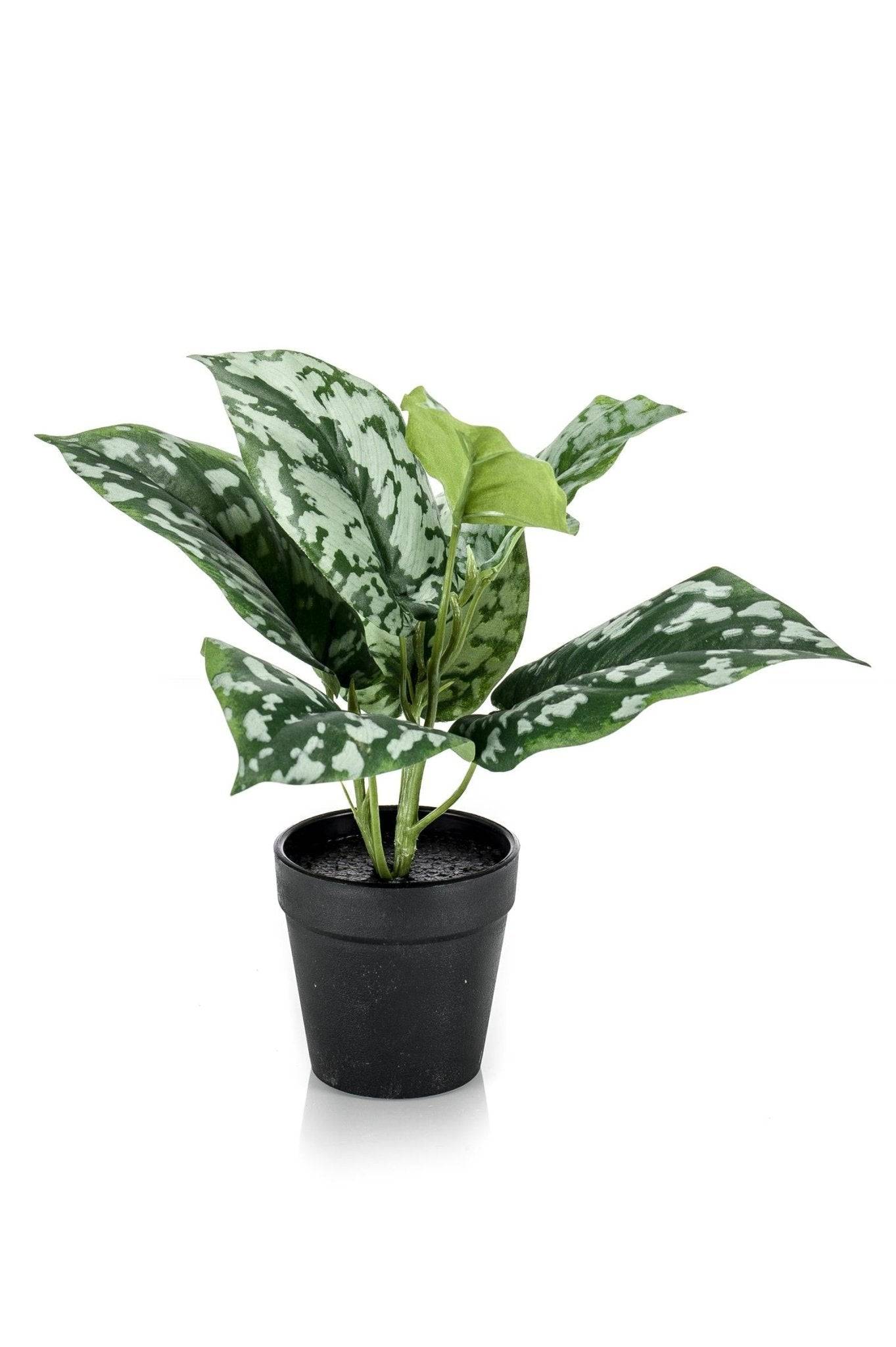 La Green Touch - Scindapsus plante artificielle- h30cm, Ø15cm- La Green Touch - Imagen 6