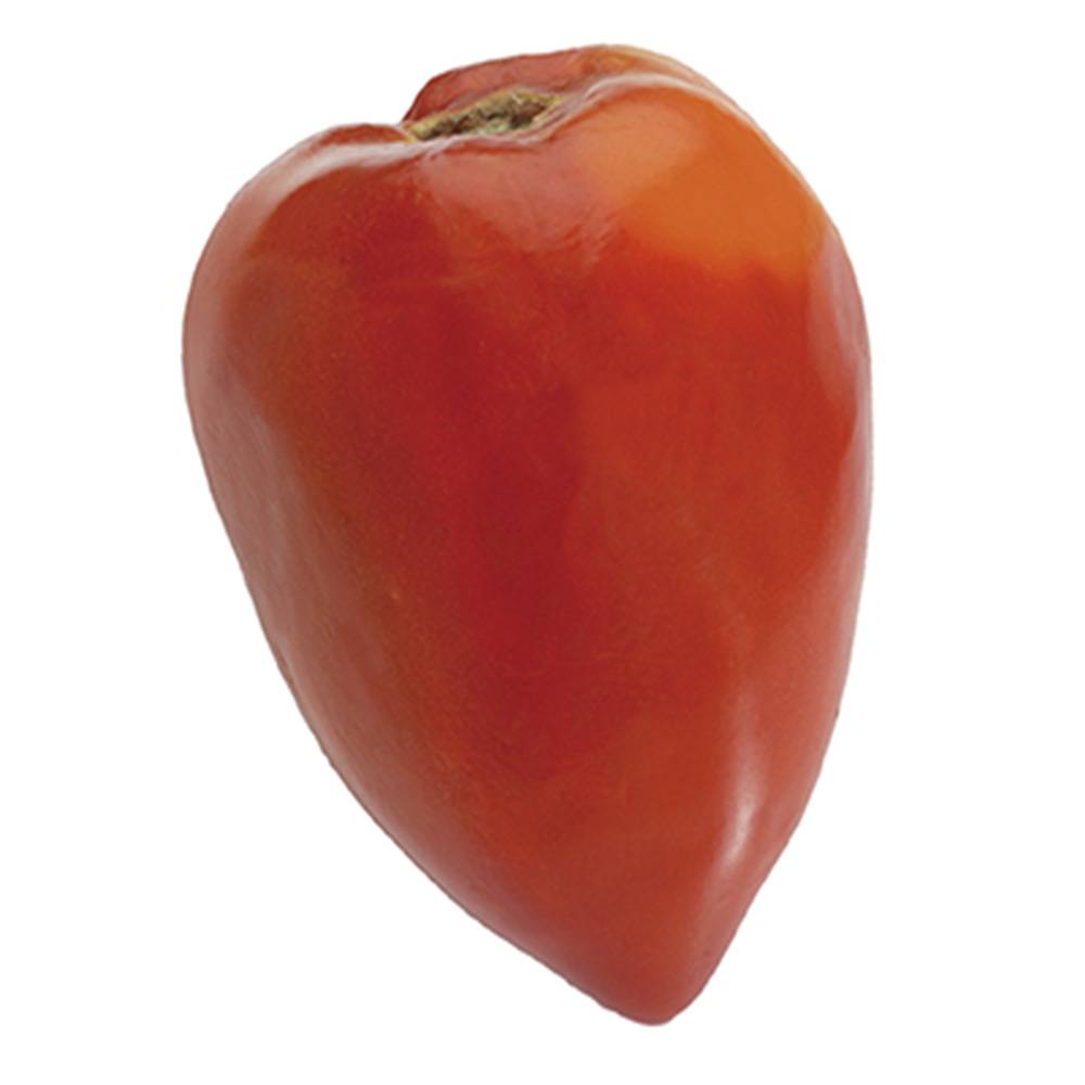 Tomate Fleurette F1 en plants GREFFES - Tomate Cœur de Bœuf hybride Mini-motte Ø 1,5/2,5 cm, Plant greffé de 5 à 10 cm de hauteur (par 2)
