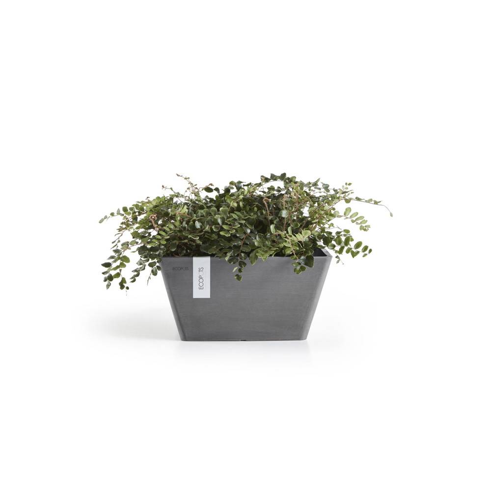Ecopots - Pot Carré Berlin 30 Gris - 31 x 31 x H. 15,5 cm - 10 L ECOPOTS - Imagen 1
