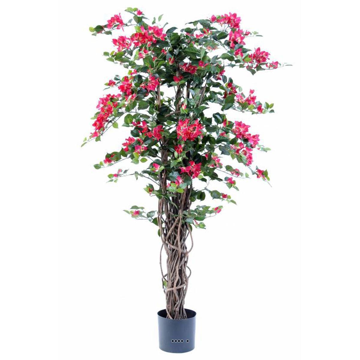 Artificielles - Bougainvillier artificiel en pot tronc naturel lianes H 150 cm Rose fushia - dimhaut: H 150 cm - couleur: Rose fushia 730