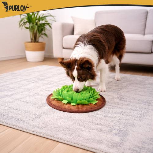 Tapis odorant pour chiens fouille - Image 6