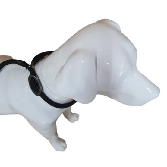 Laisse Aiden ø12 mm L170 cm anti traction, noir , pour chien - Image 6