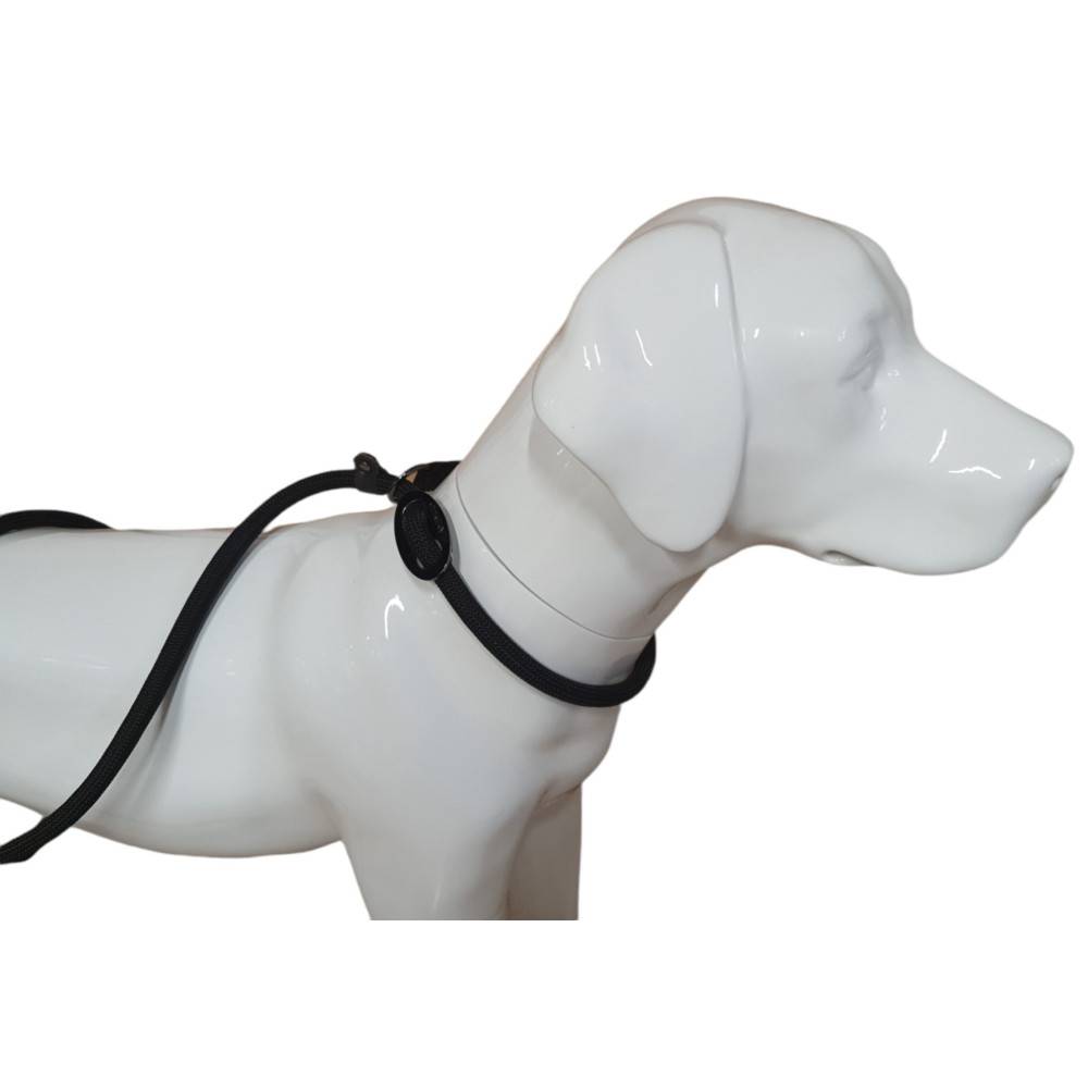 Laisse Aiden ø12 mm L170 cm anti traction, noir , pour chien - Imagen 1