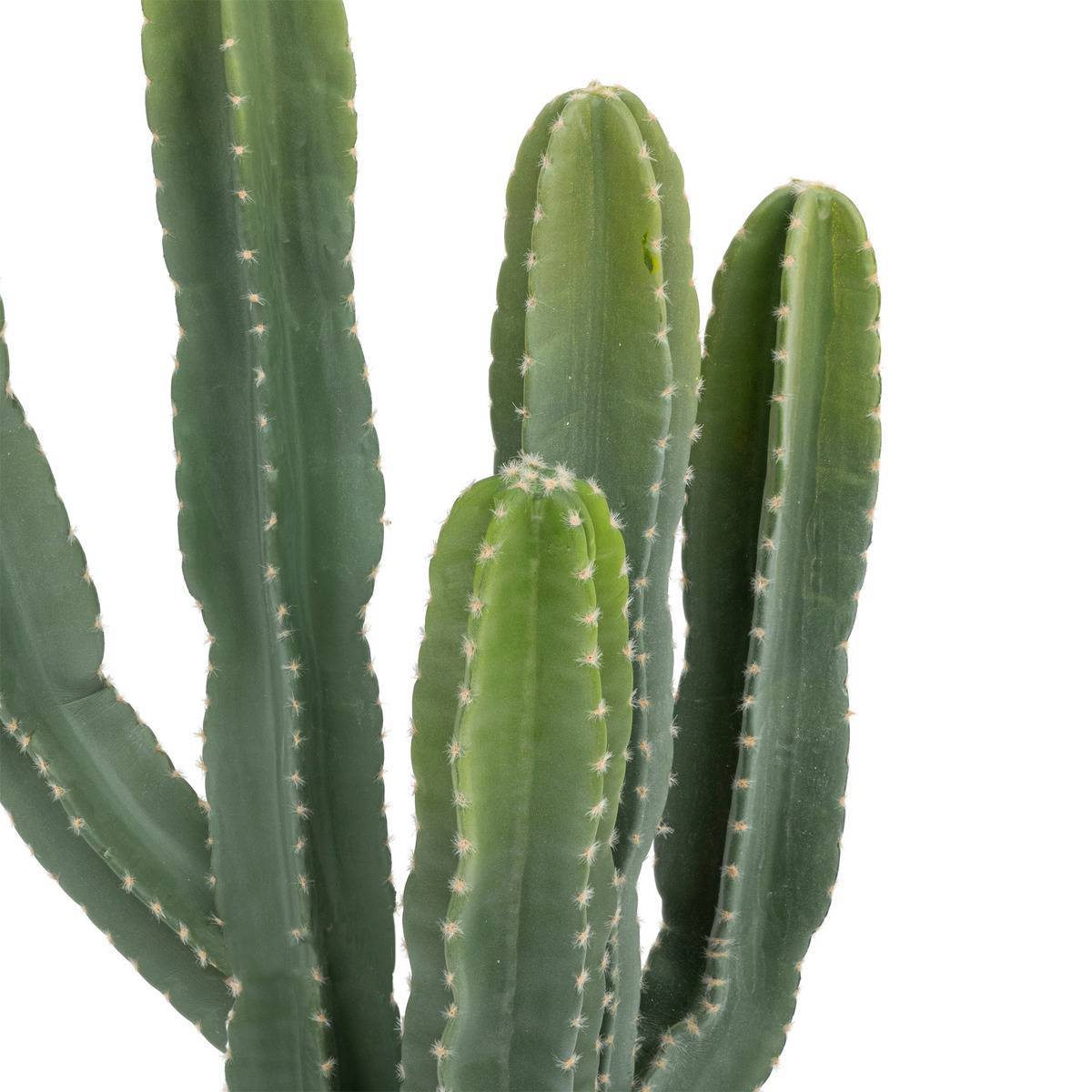 Atmosphera - Cactus "Exotic Panama" H117cm vert - Atmosphera Créateur d'intérieur - Imagen 2