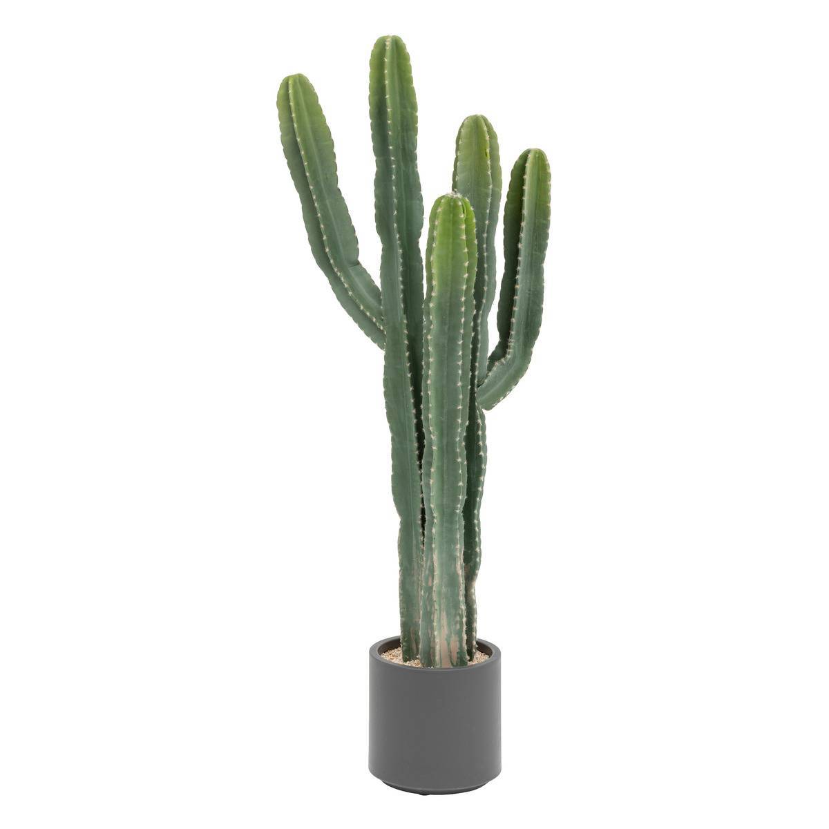 Atmosphera - Cactus "Exotic Panama" H117cm vert - Atmosphera Créateur d'intérieur - Imagen 1