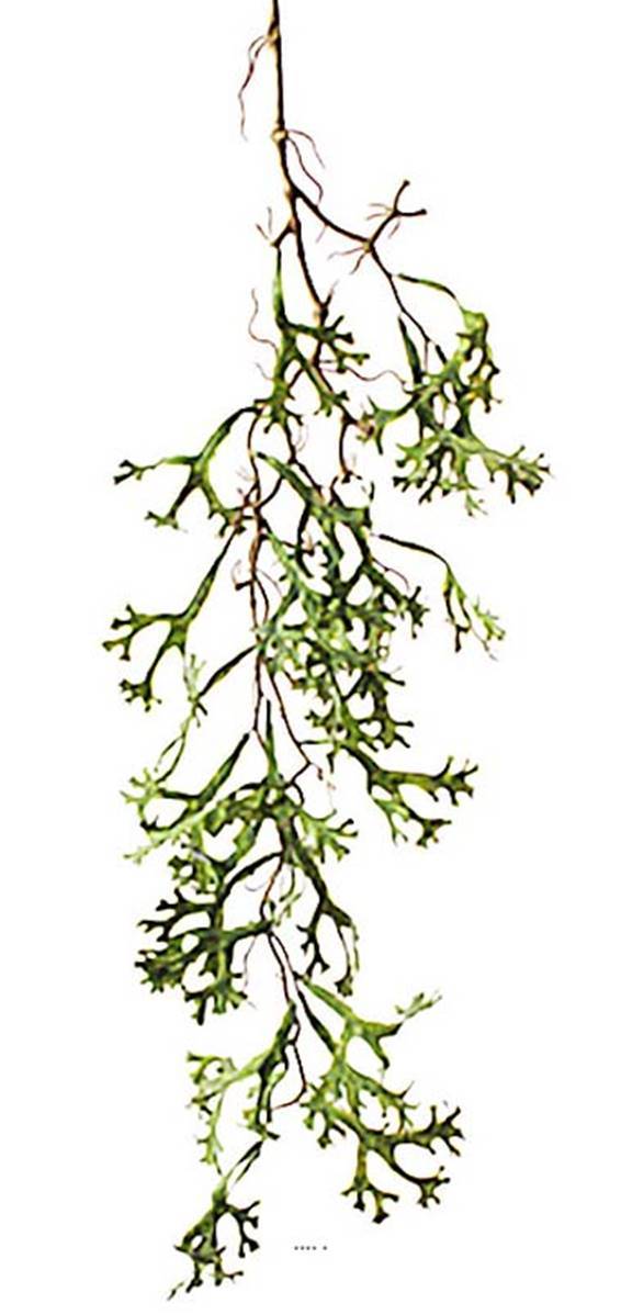 Artificielles - Chute de platycerium artificiel L 100 cm vert - Imagen 1