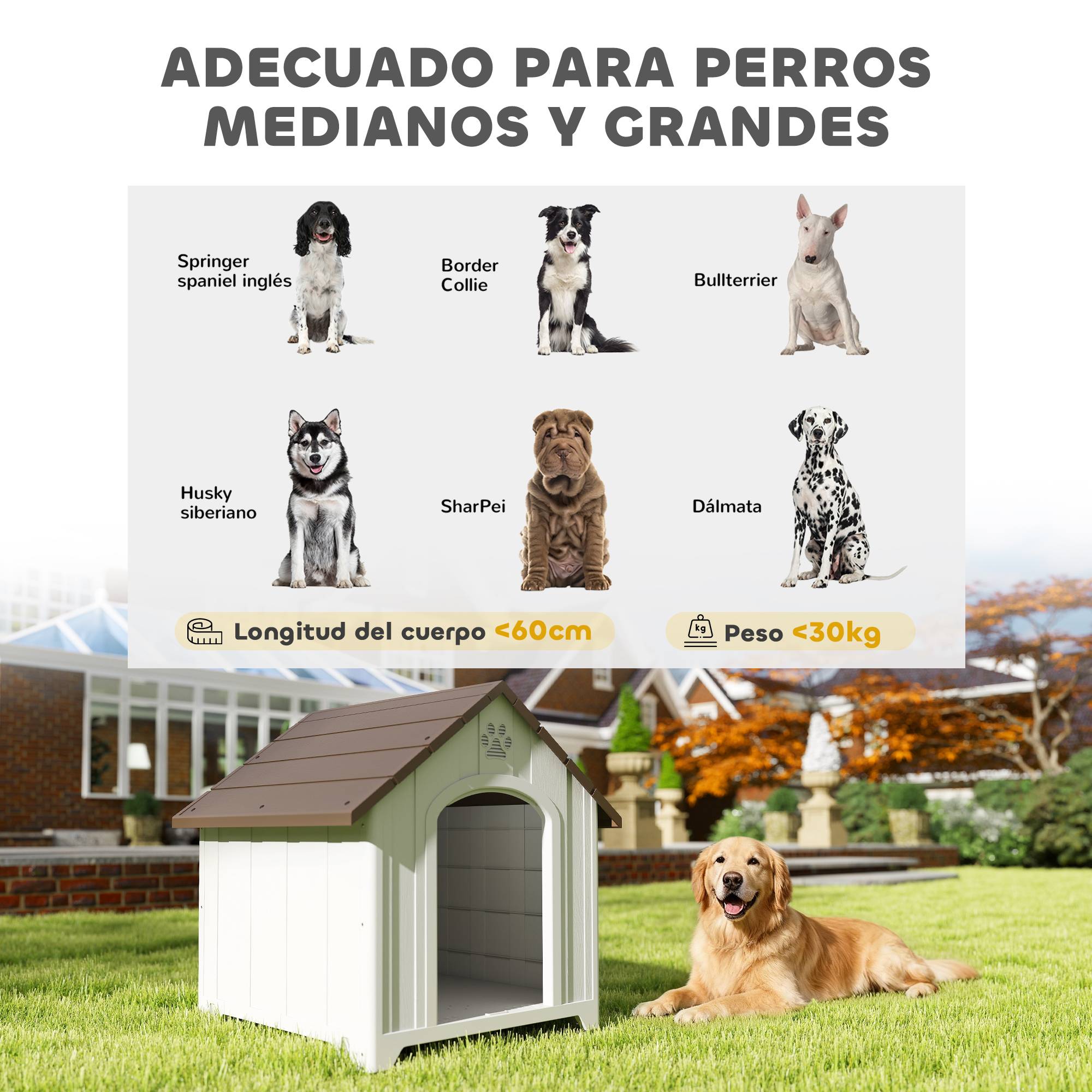 Niche d'extérieur pour chien, grande niche en plastique avec 2 fenêtres, base surélevée, piquets, marron foncé - Image 7
