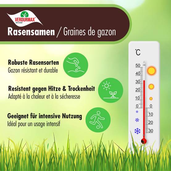 1 kg VERDURMAX® Semences de gazon x 3 - Image 3