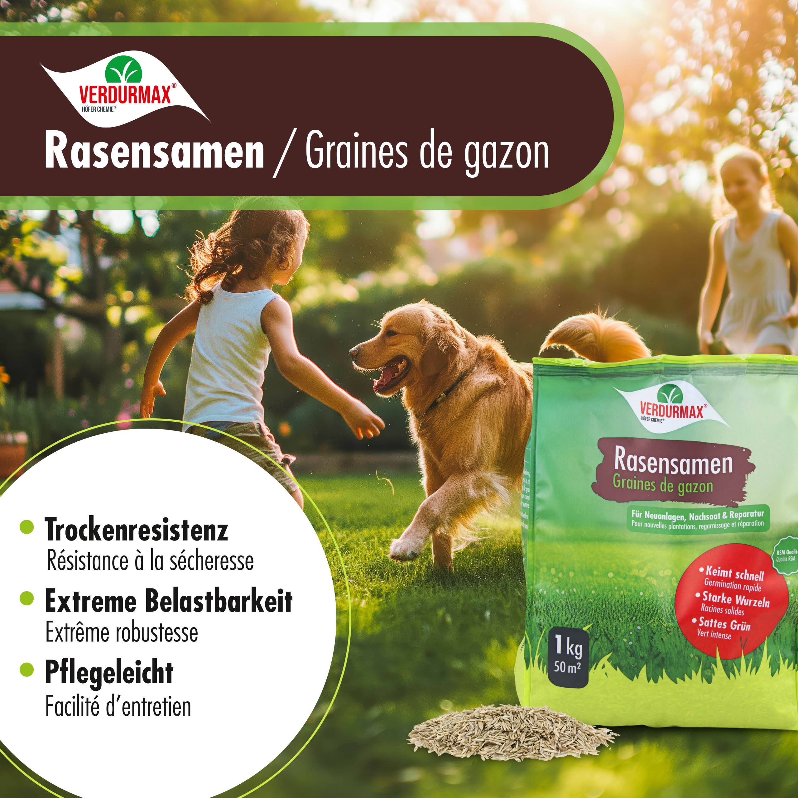 1 kg VERDURMAX® Semences de gazon x 3 - Image 5