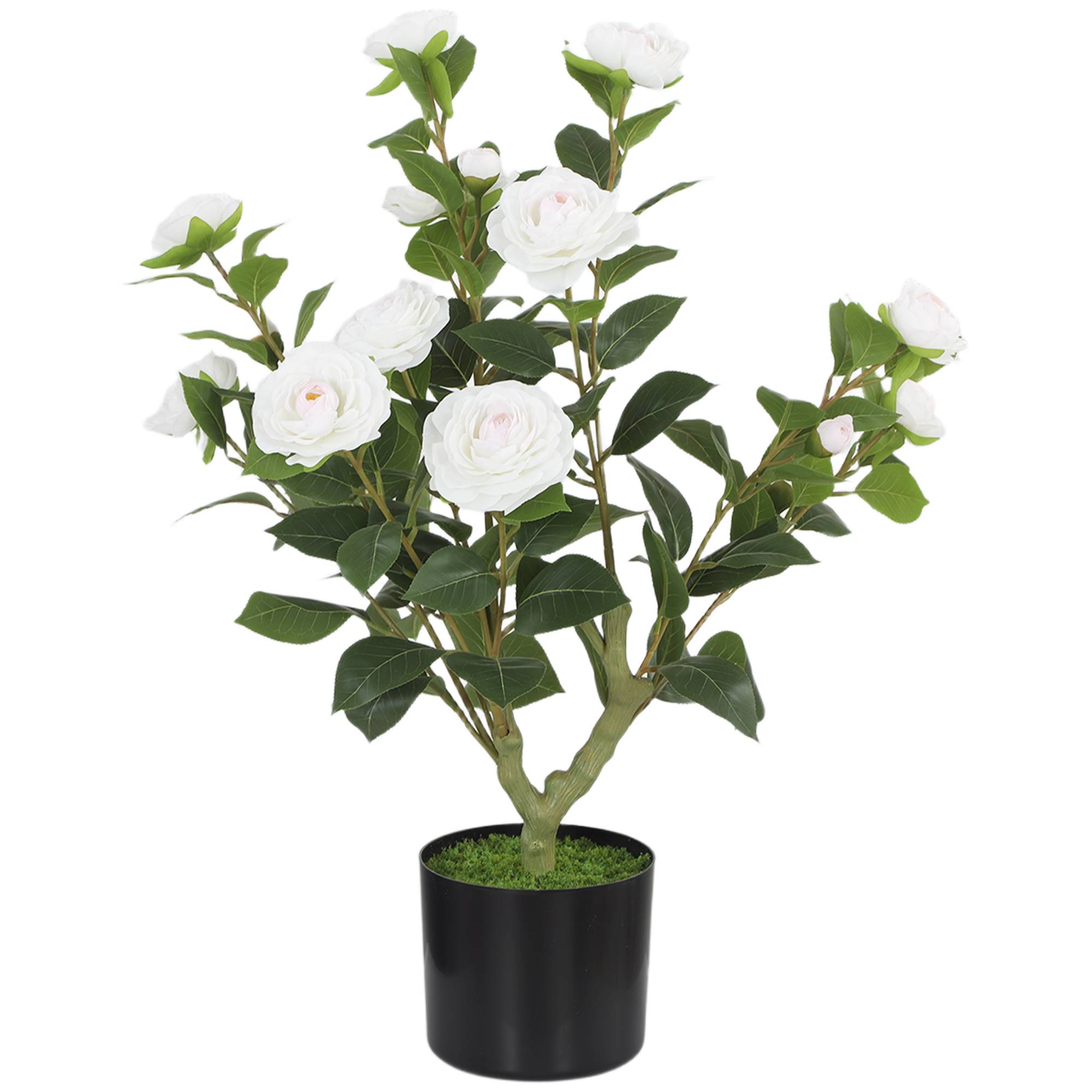 Sans Marque - Camélia artificiel de 65 cm en pot, orné de fleurs en soie réalistes et de 116 feuilles à effet mousse blanche. - Image 1