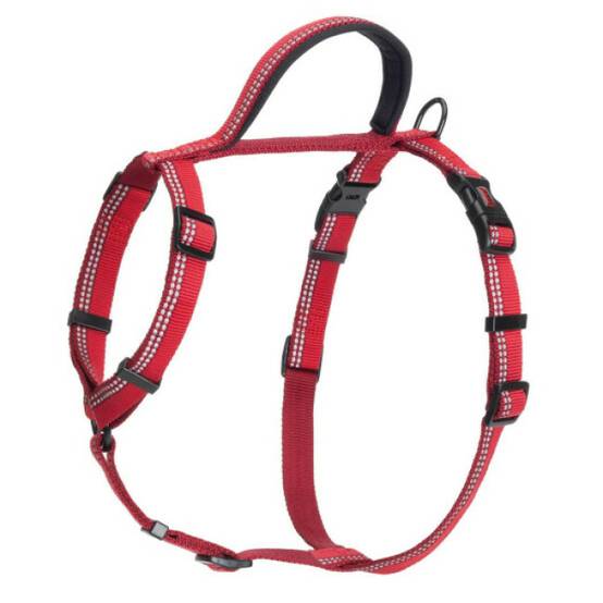 Company of animals - Harnais Walking Halti pour chien - Taille XS Rouge