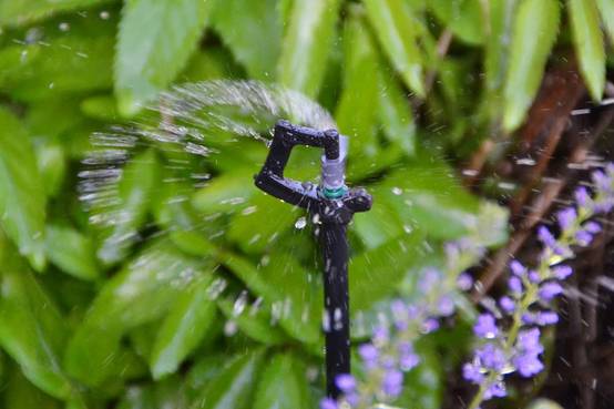 Jardibric - Jardibric - Micro-arroseurs (Lot de 3) - Ensemble Pratique pour Une Irrigation Ciblée et Efficace de Vos Plantes et Fleurs dans Le Jardin. - Image 2