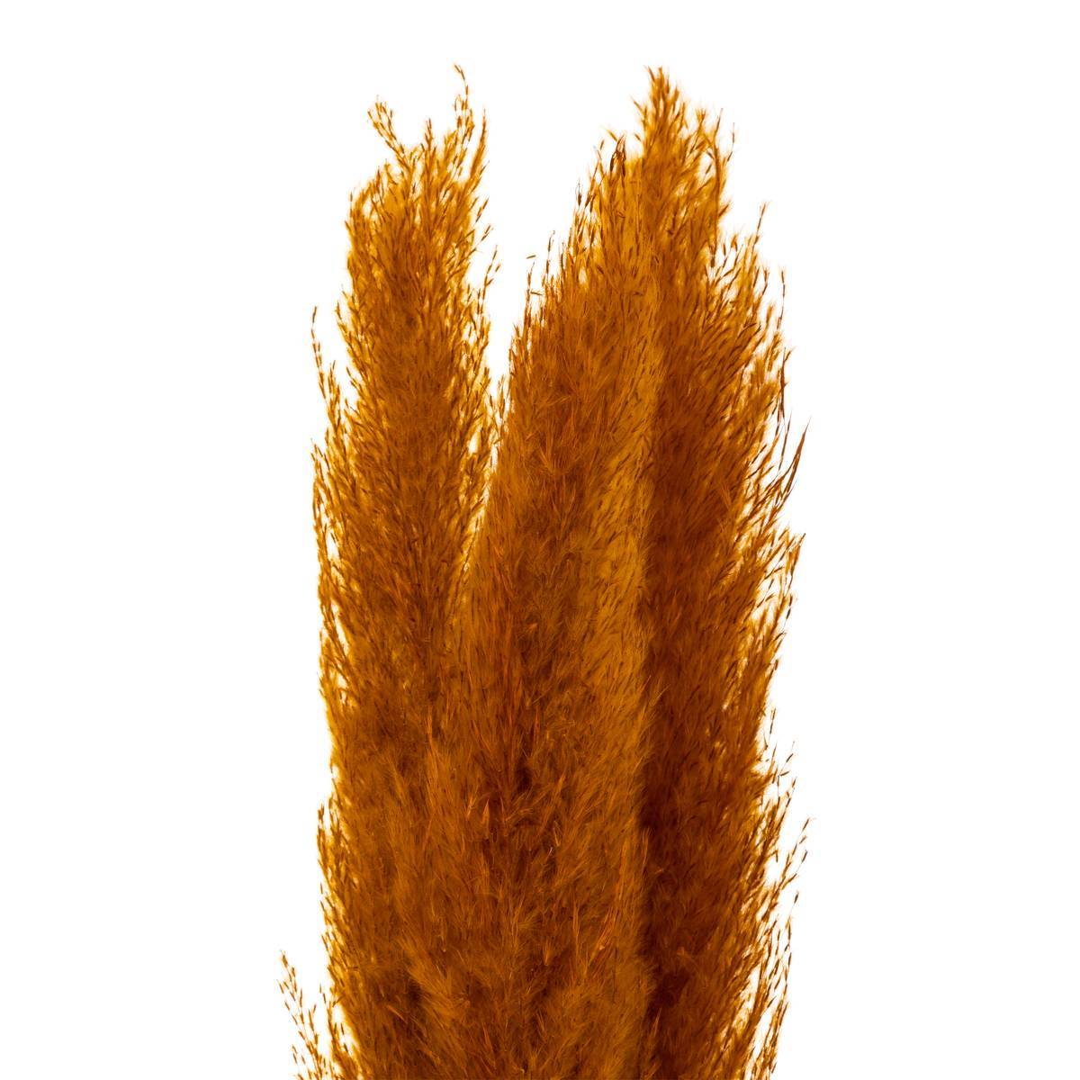 Atmosphera - 3 fleurs séchées "Pampa naturelle" jaune moutarde H110cm - Atmosphera Créateur d'intérieur - Imagen 3
