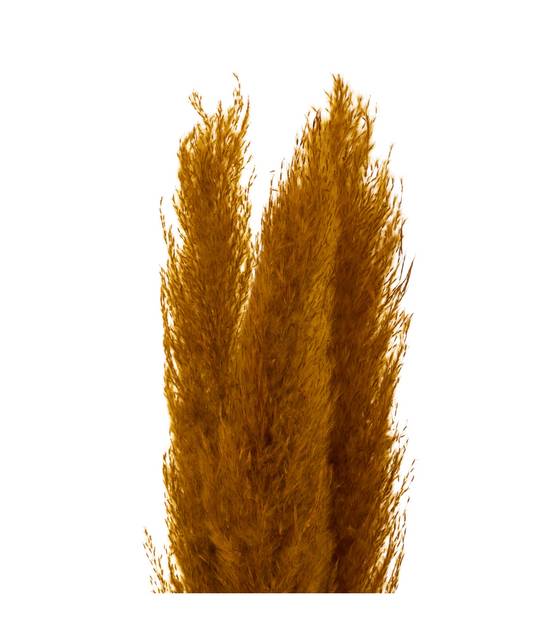 Set de 3 Branches de Pampa séchée Ocre H 109 cm - Image 2