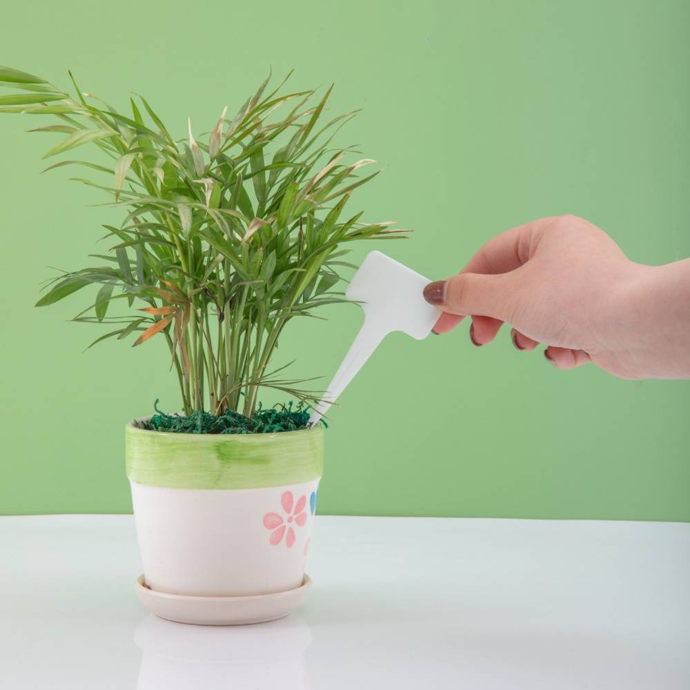 Ensemble d'Outils de Jardinage pour Plantes - IntiMeg - Image 4